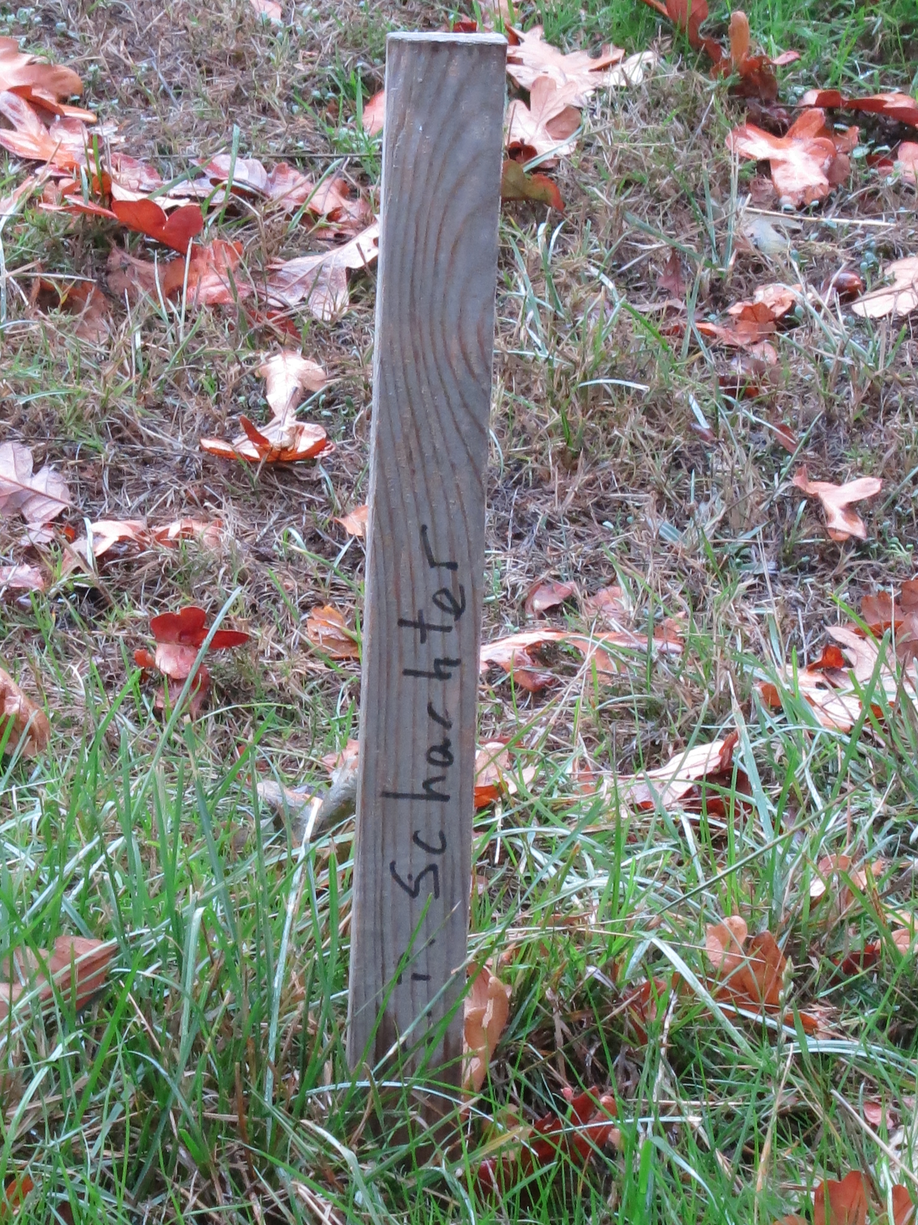Jean Pierre Schachter wooden marker