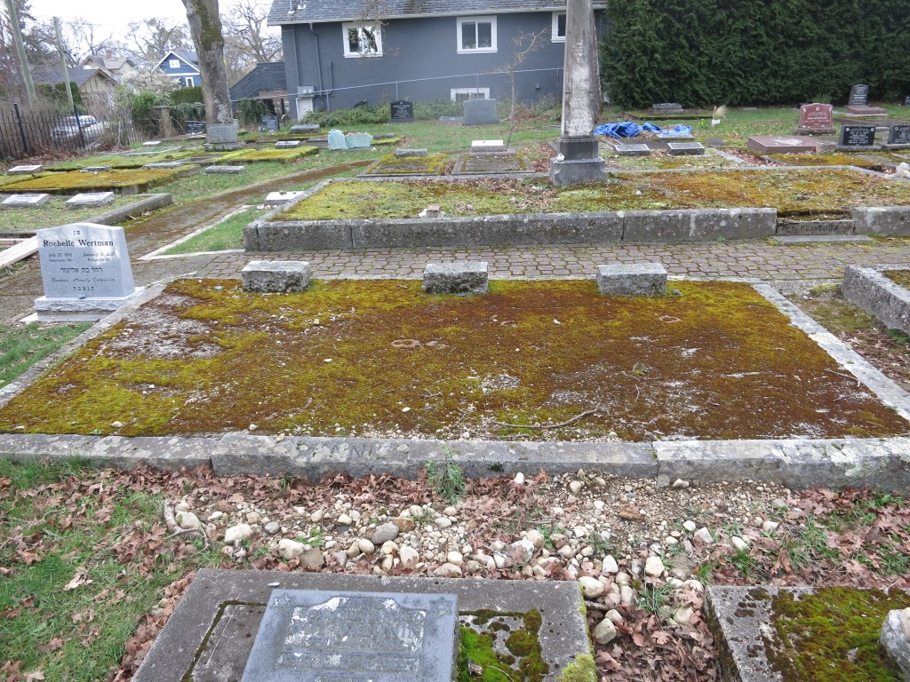 Levy Family Plot February 22, 2026
