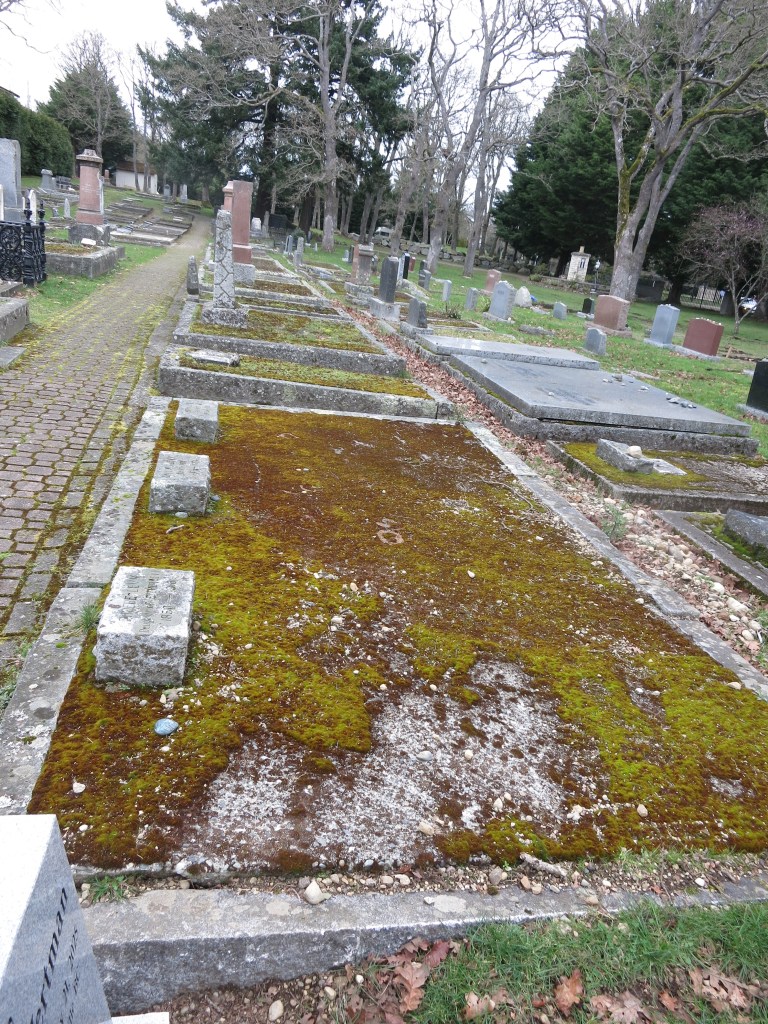 Levy Family Plot February 22, 2026