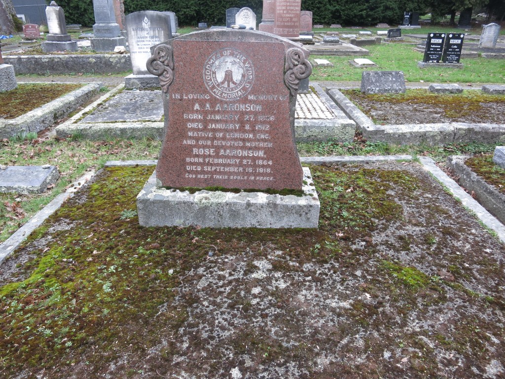 Aaronson Family Plot February 22, 2026