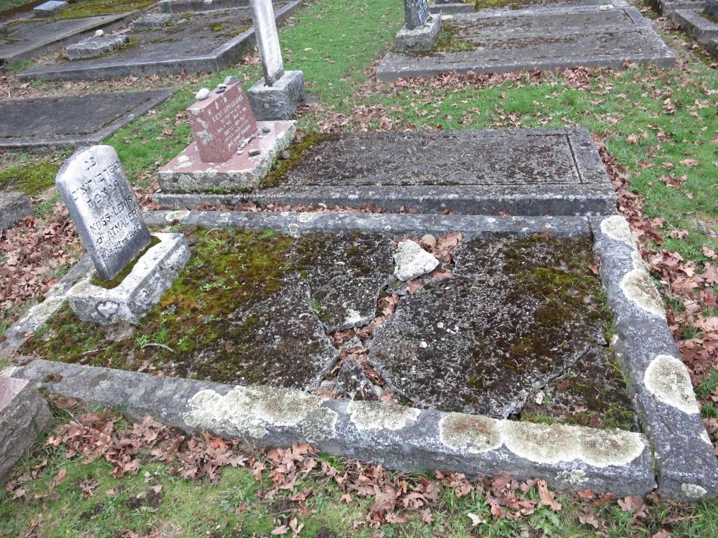 landscaping Maurice Platnauer plot February 22, 2026