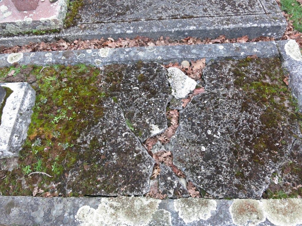landscaping Maurice Platnauer plot February 22, 2026