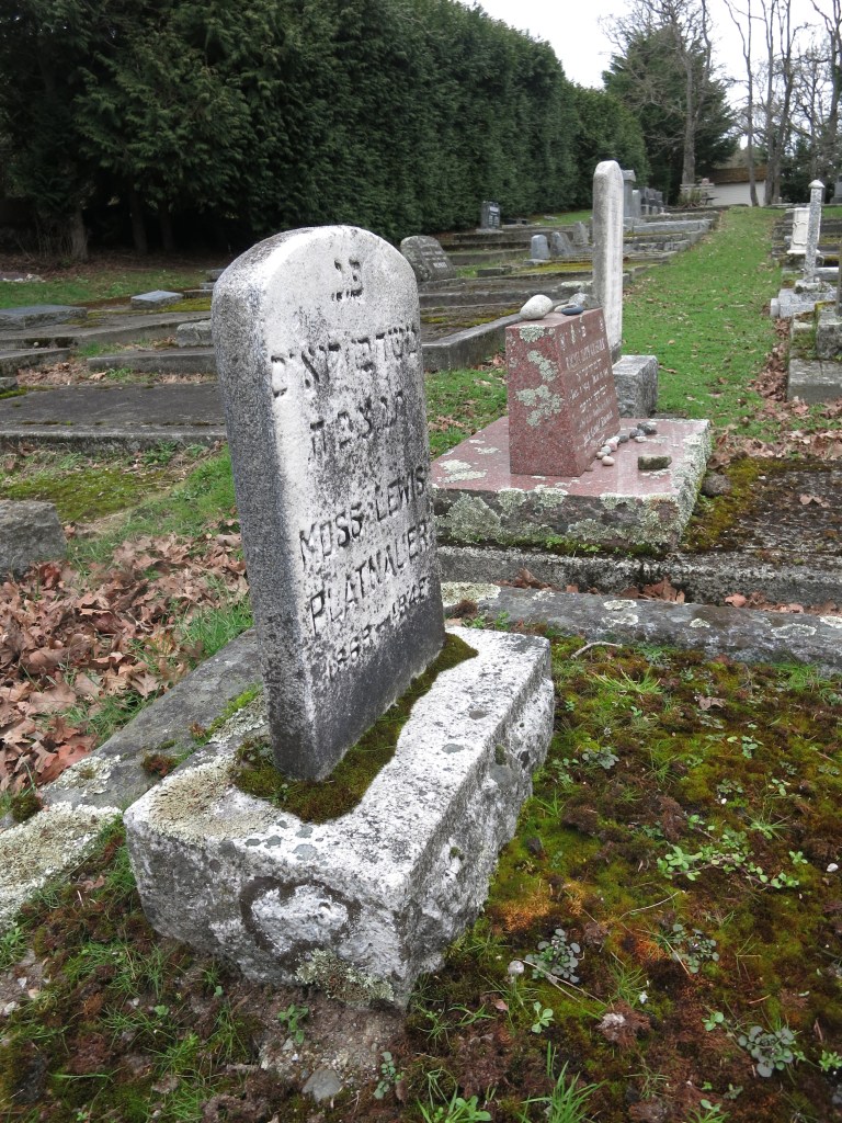 landscaping Maurice Platnauer plot February 22, 2026
