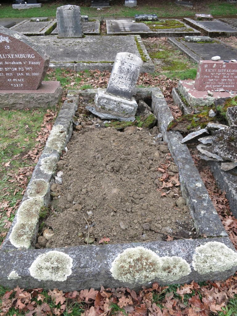 landscaping Maurice Platnauer plot February 22, 2026