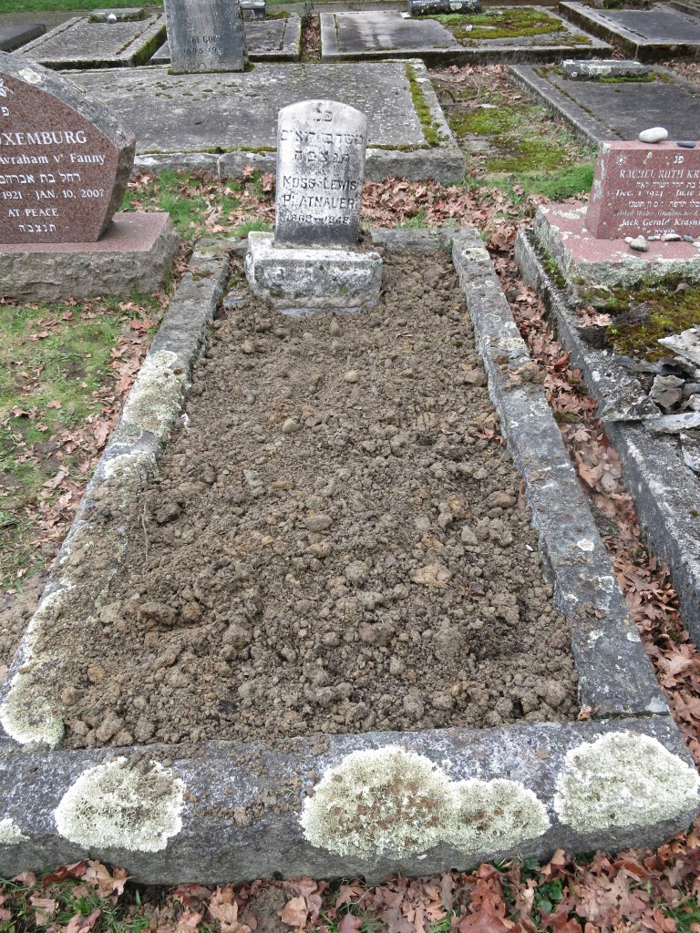 landscaping Maurice Platnauer plot February 22, 2026