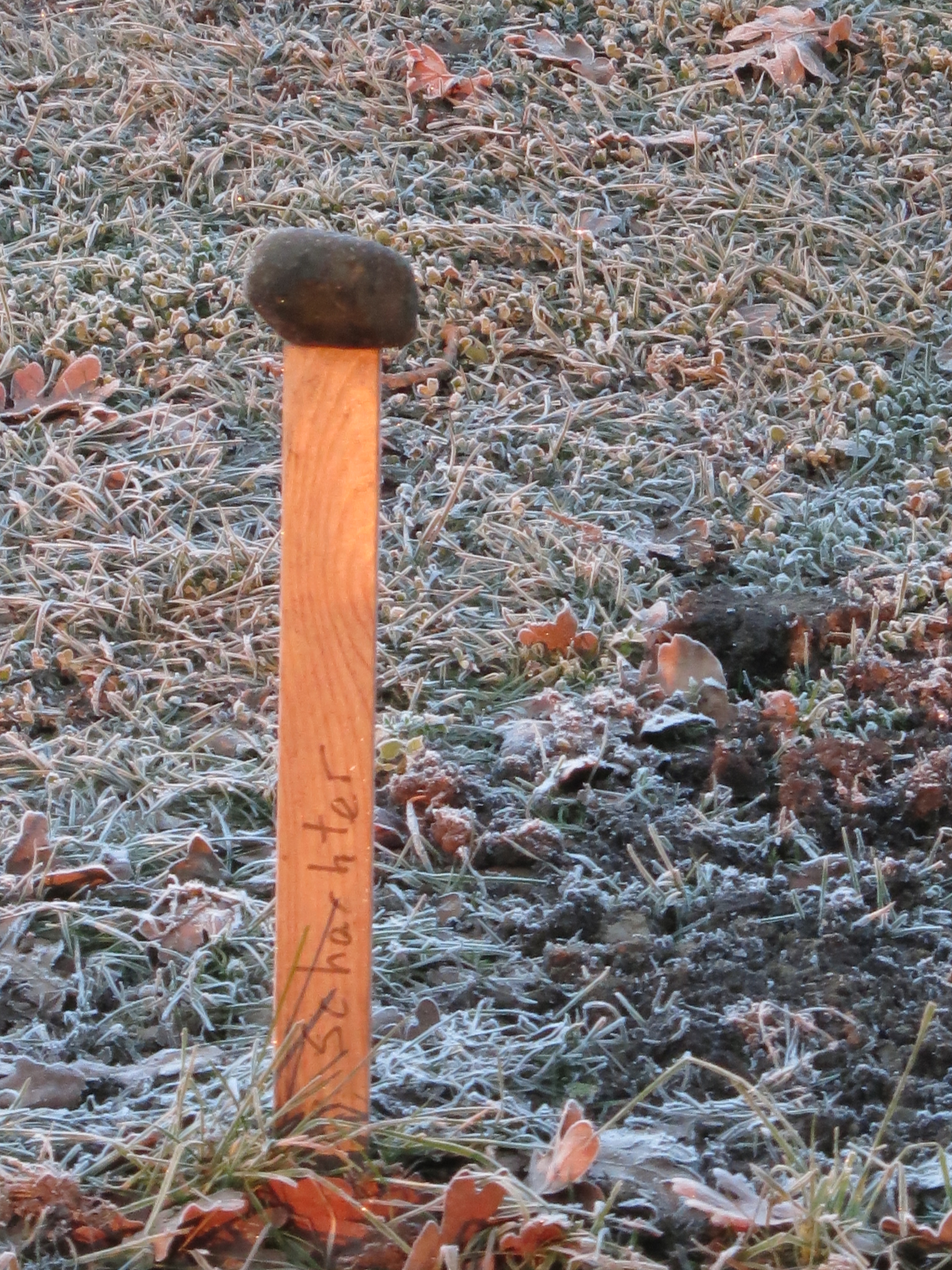 Jean Pierre Schachter stake at gravesite