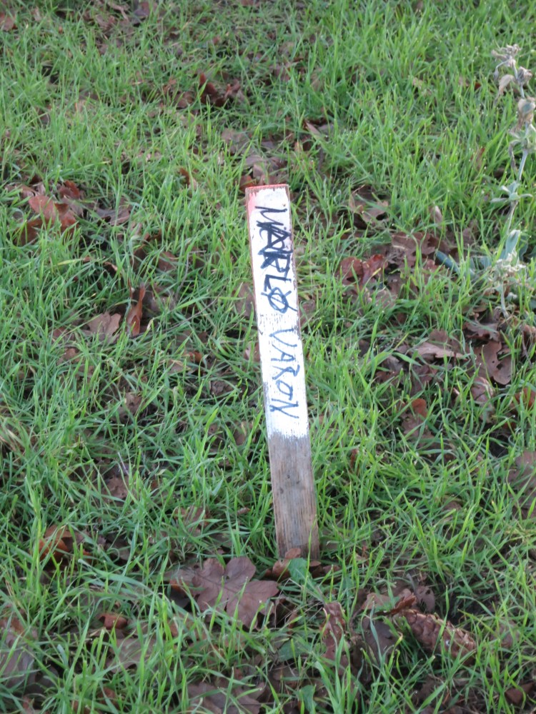 stake at Marlo Varon gravesite