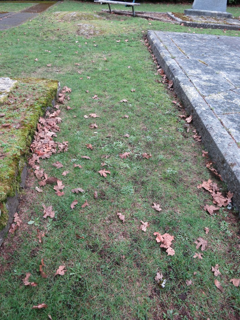Location of Sarah Schultz plot from many burial rolls before new stone was placed