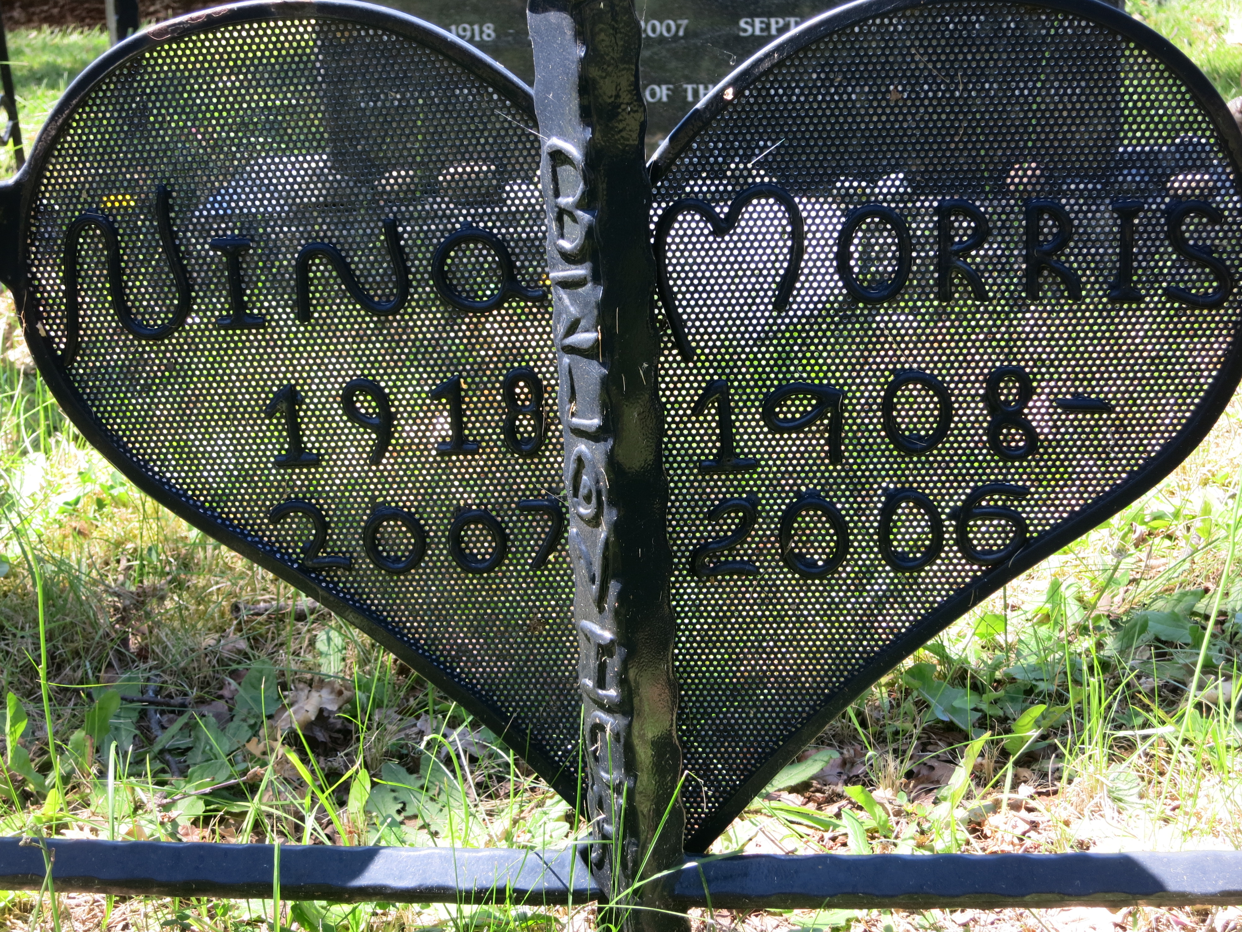 close up of fence around plot for Nina and Morris Belovich