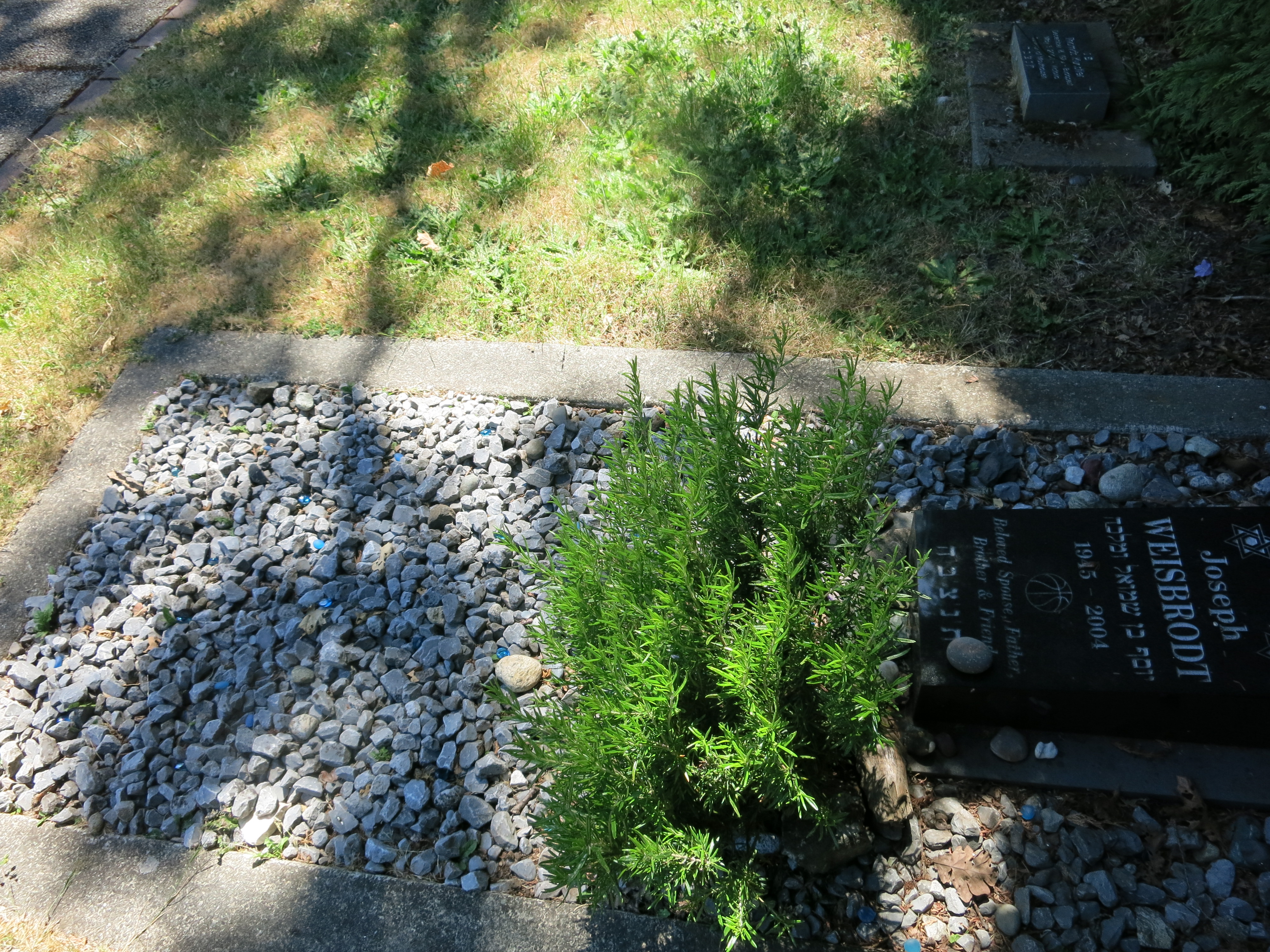 Joseph Weisbrodt grave June, 2026