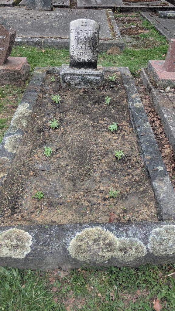 Platnauer landscaping April 28, 2026