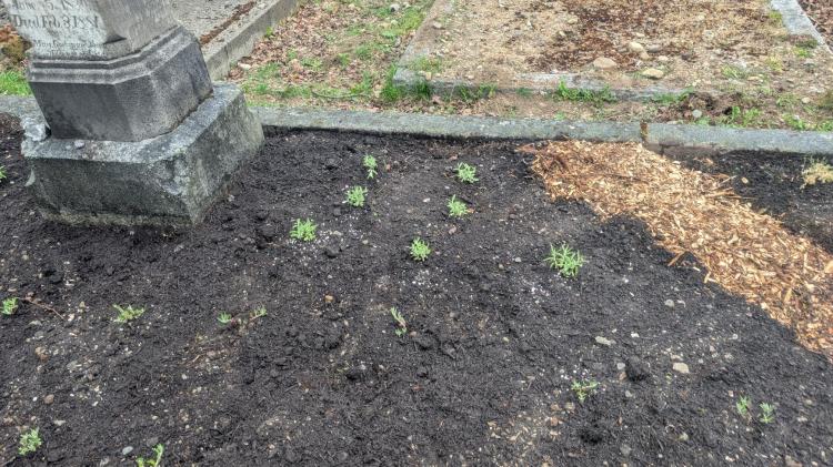 Oppenheimer landscaping April 28, 2026