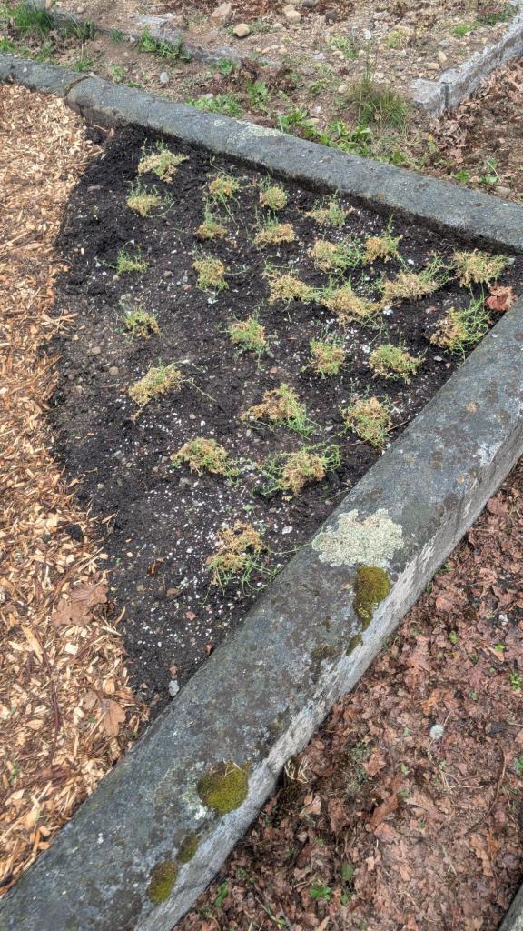 Oppenheimer landscaping April 28, 2026