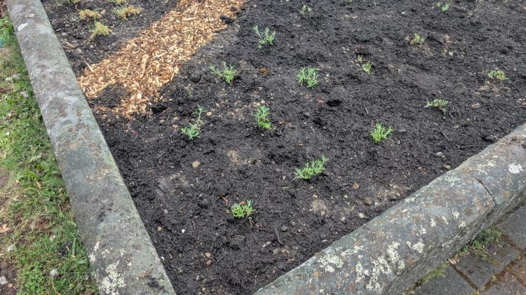 Oppenheimer landscaping April 28, 2026
