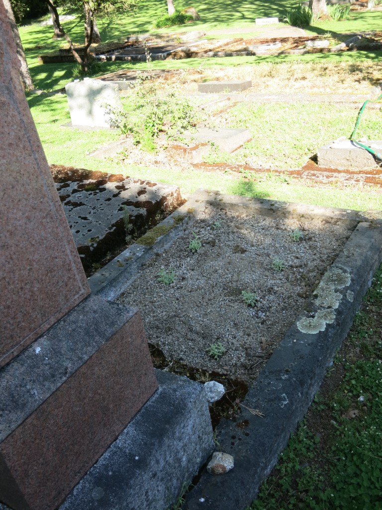Freedman grave landscaped May 8, 2026