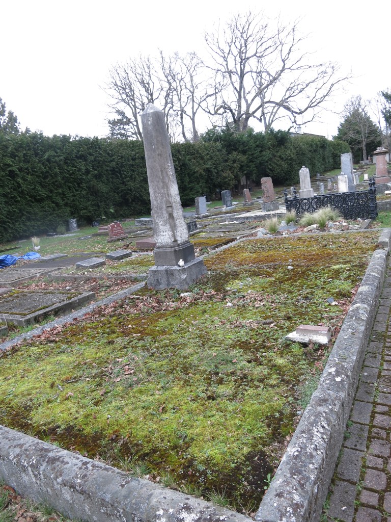 Oppenheimer Plot before landscaping