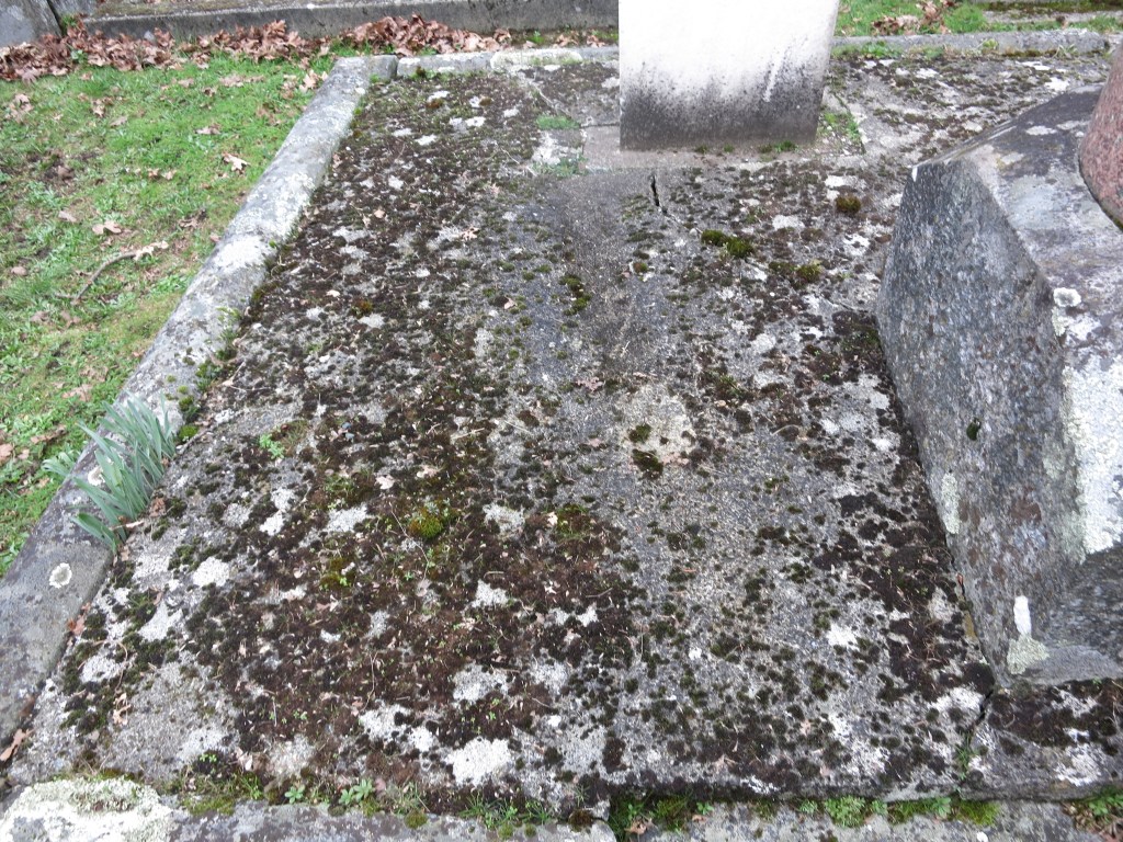 Lewis family plot before landscaping