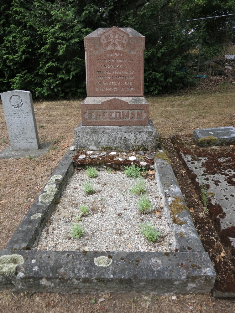 Freedman plot July 10, 2026