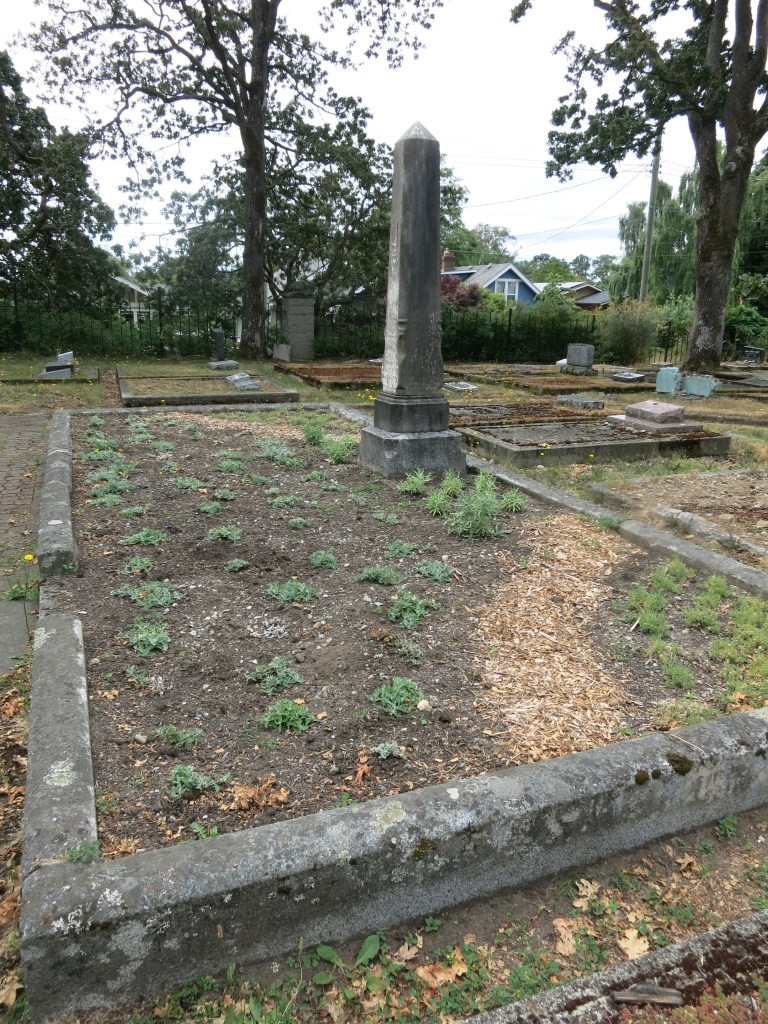 Oppenheimer plot July 10, 2026