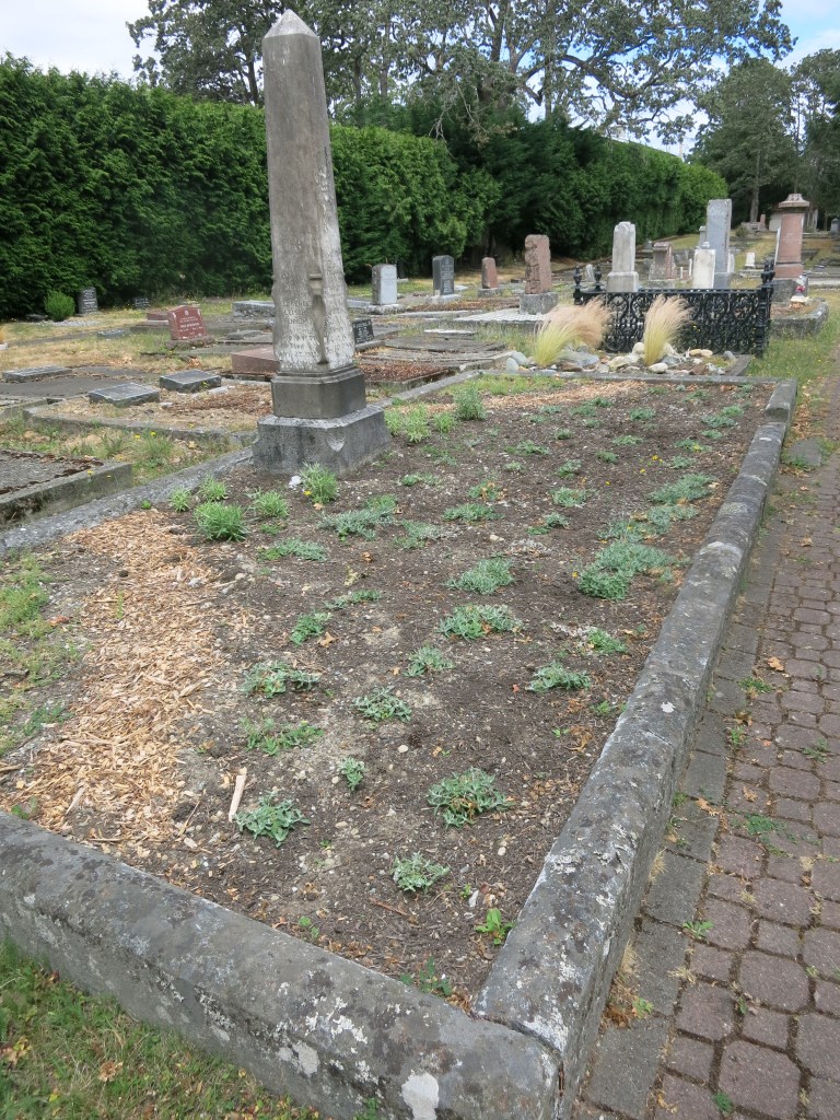 Oppenheimer plot July 10, 2026
