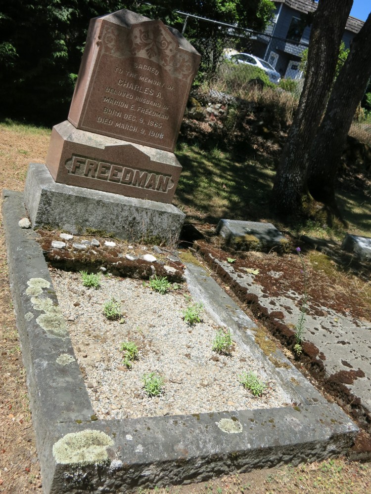 Freedman grave landscaped June 18, 2026
