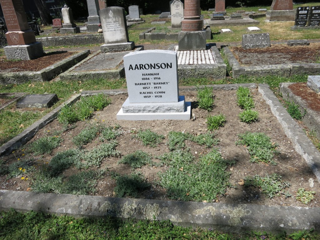 Aaronson plot landscaped June 22, 2026