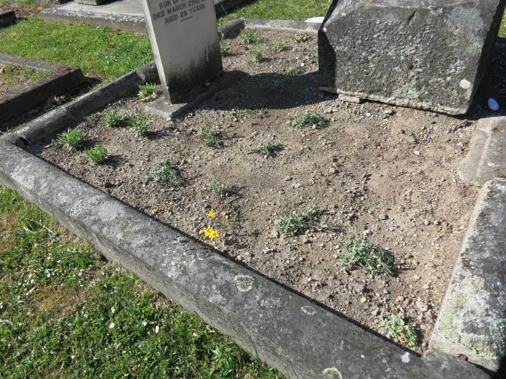 Landscaping Lewis plot May 21, 2026