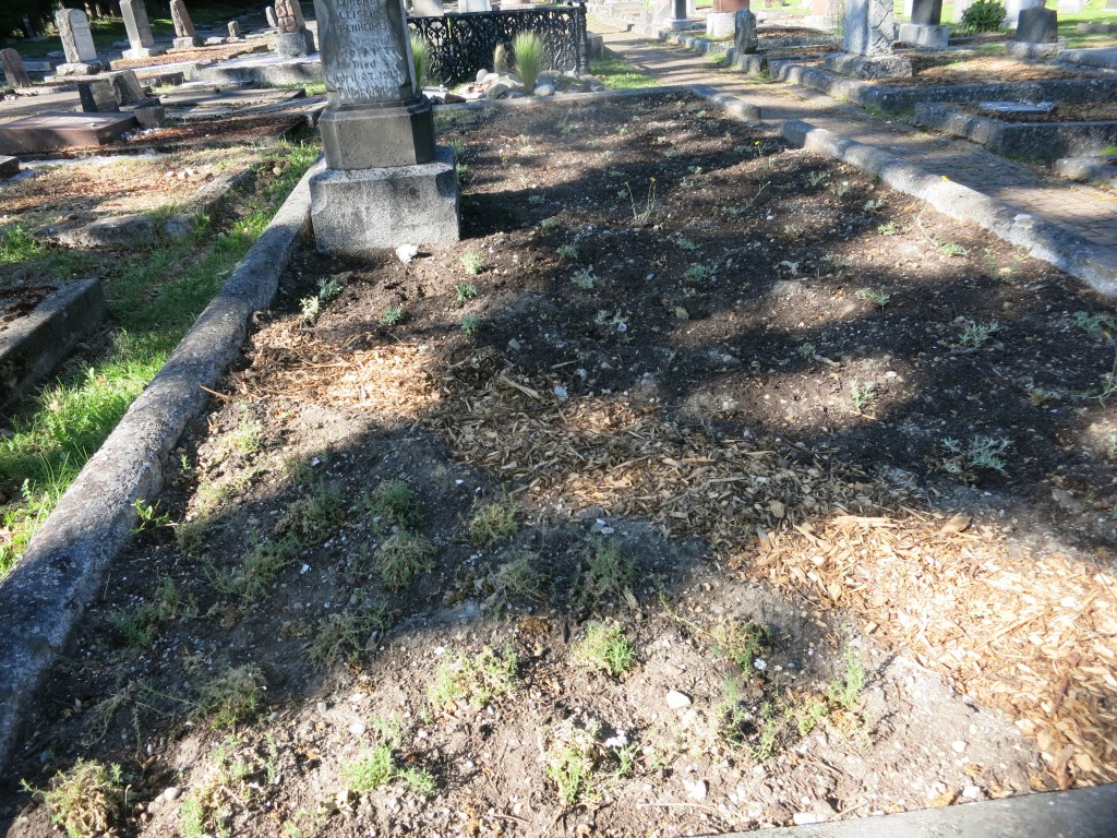 Oppenheimer landscaping May 31, 2026