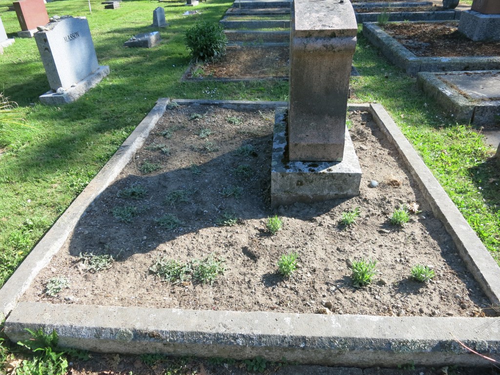 Aaronson plot landscaped May 21, 2026