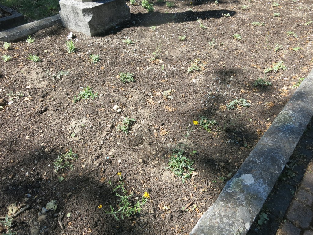 Oppenheimer landscaping May 31, 2026