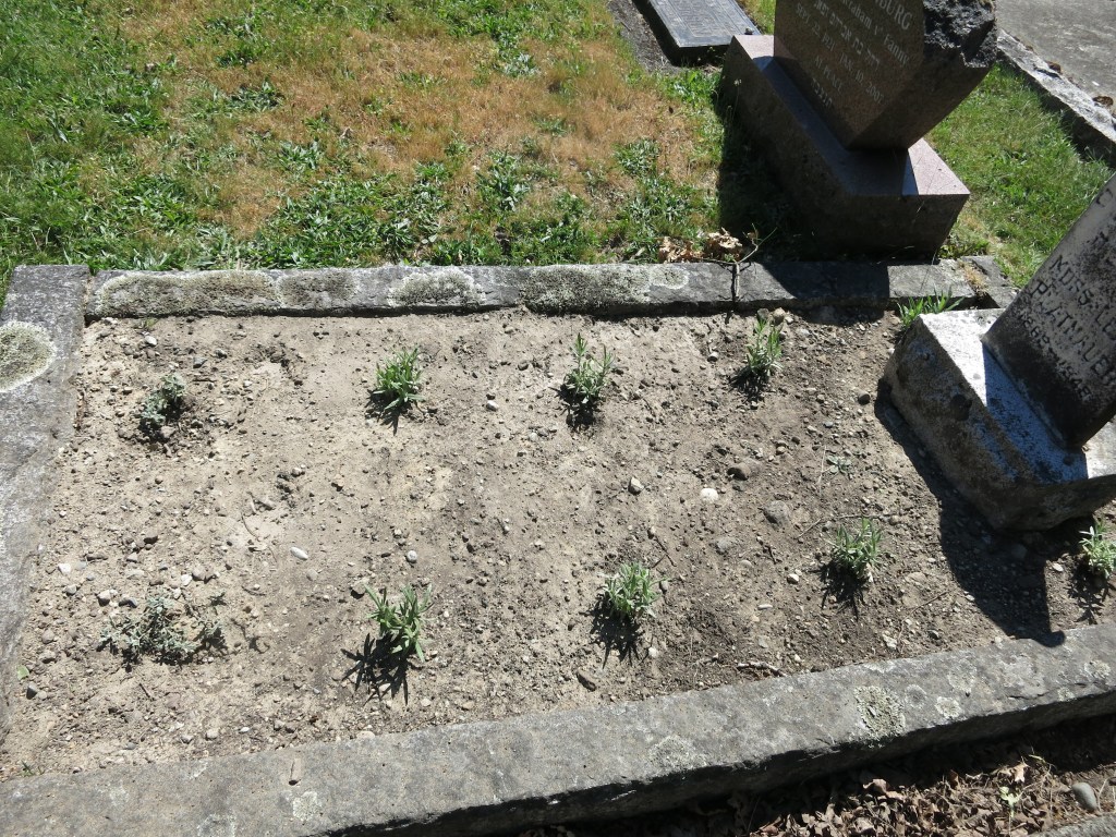 Platnauer landscaping May 31, 2026