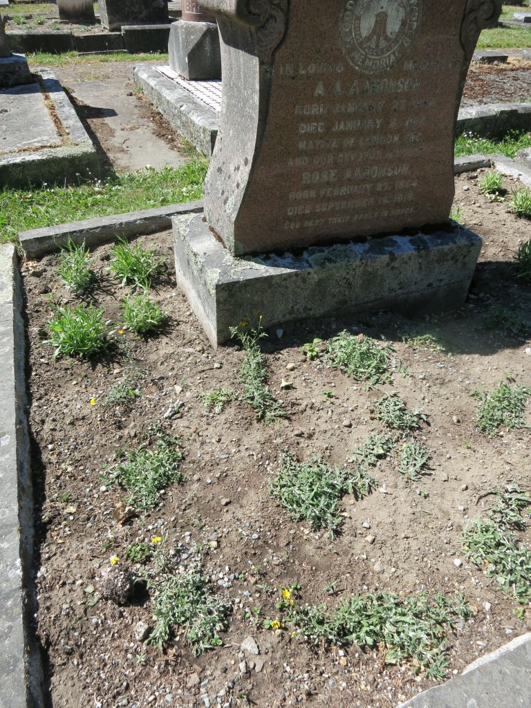 Aaronson plot landscaped May 31, 2026