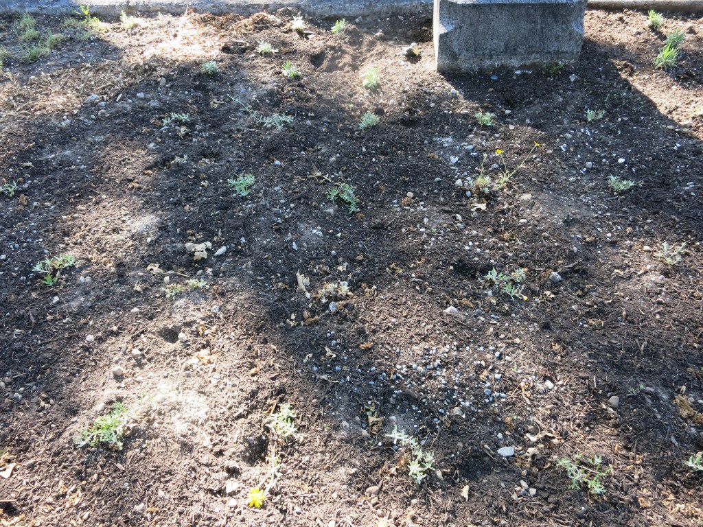 Landscaping Oppenheimer plot May 21, 2026