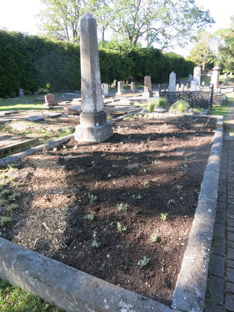 planting complete Oppenheimer Apr 28, 2026