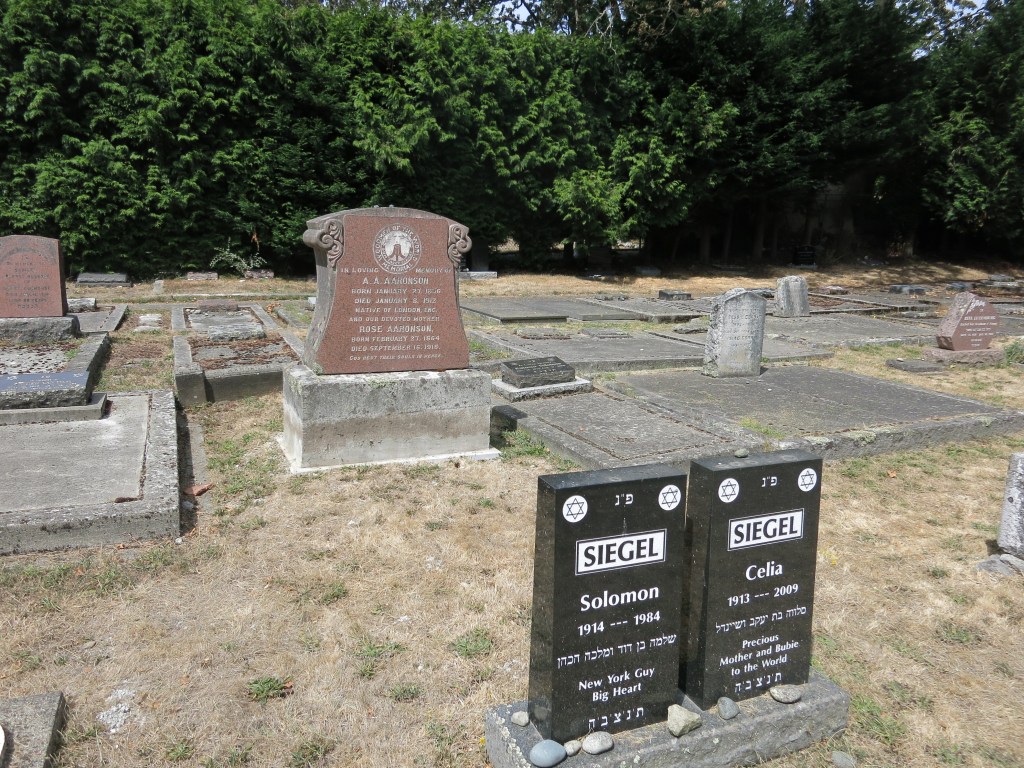 Aaronson WOW monument in the right spot work completed