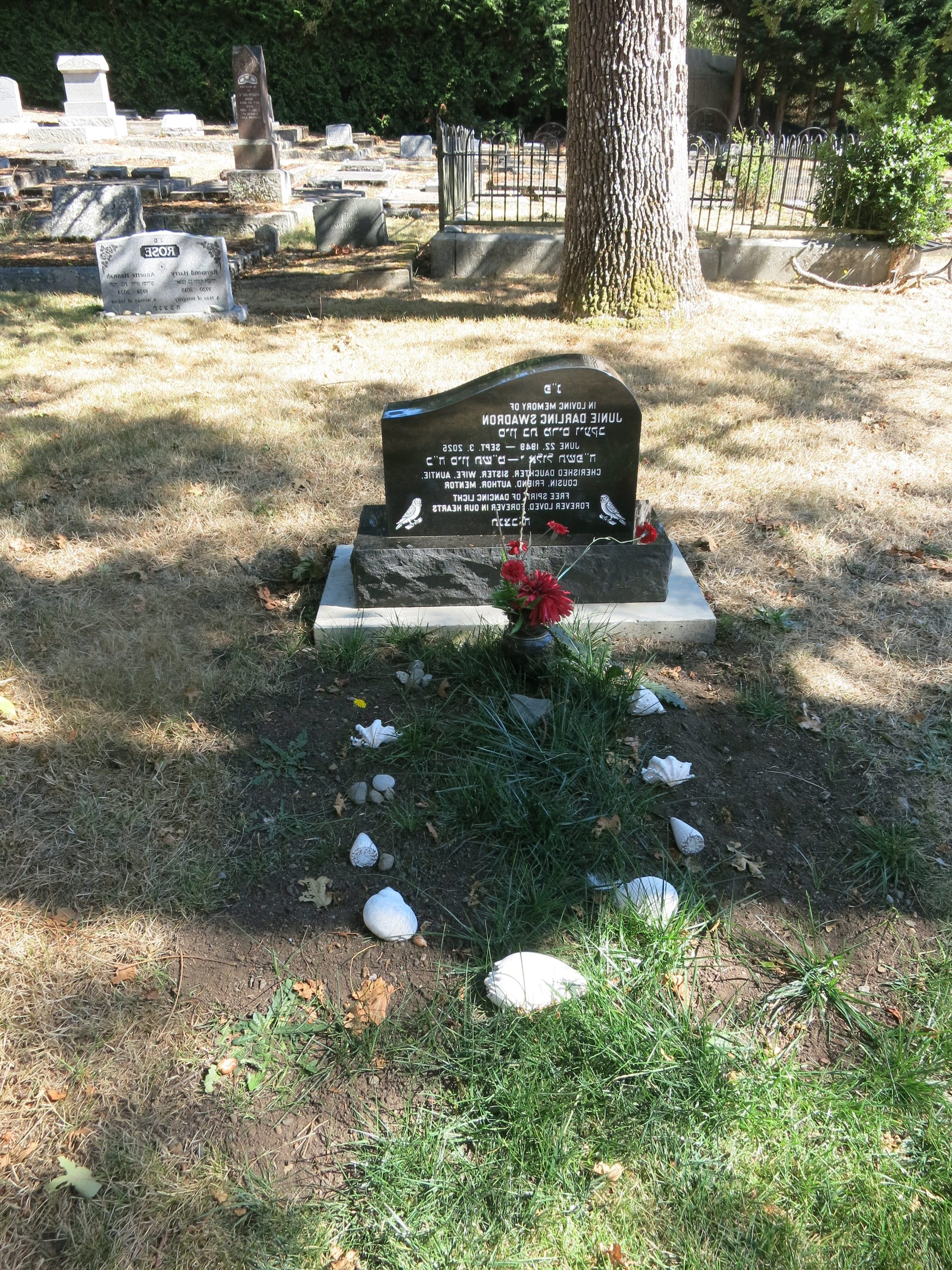 plot for Junie Swadron